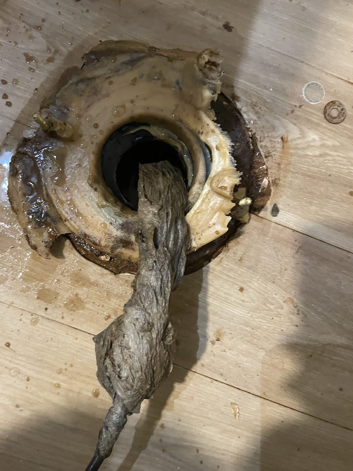 Drain blockage cleared by Vertex Services